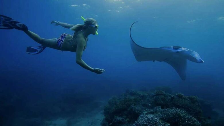 manta point nusa penida tours